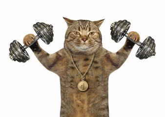 The cat bodybuilder with a sports medal is doing exercises with dumbbell weights. White background. 