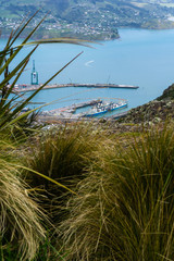 Tall green grass on a steep hill leading to small port in distance surrounded by blue bay 