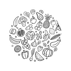 Trendy hand-drawn fruits and vegetables in doodle style. Vector illustration isolated on white background. Great for banners, sites, menu design, packaging, cooking book or advertising.