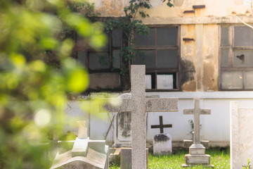 The old cemetery, surrounded by big city tee