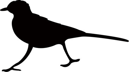 bird body silhouette vector