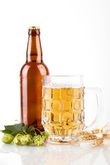 Mug and bottle of beer with green hops, wheat ears and grains on white background. Unfiltered beer. Alcoholic beverages. Hop.