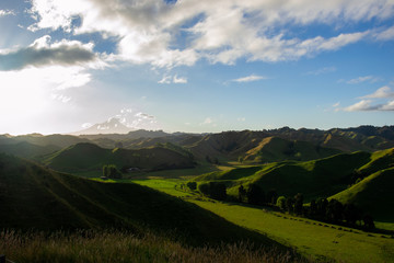 Obraz premium A typic new zealand landscape with green mountains during the sunset