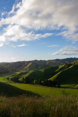 Fototapeta na wymiar A typic new zealand landscape with green mountains during the sunset