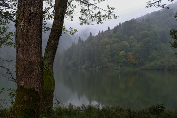 Fototapeta na wymiar Landscape with lake and misty forest in mountains