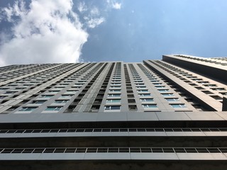 Tall buildings in the city