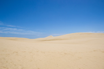 Fototapeta na wymiar the beautiful te paki sand dune in new zealand