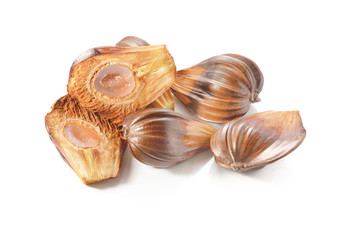 Mangrove palm isolated on a white background