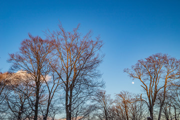 Akita Prefecture Towada Lake of the Super Moon
