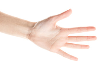 Female hand isolated on white background. White woman's hand showing symbols and gestures. Palm
