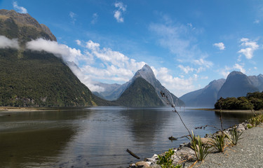 Milford Sound in New Zealand on a bright sunny day