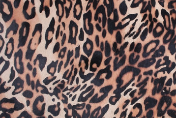 leopard pattern concept