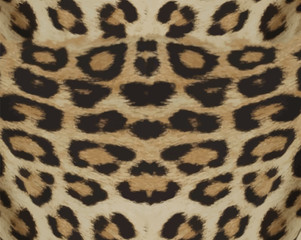 leopard pattern concept