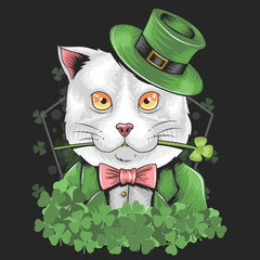 ST PATRICK S DAY CUTE CAT