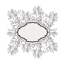 frame with plants and herbs isolated icon