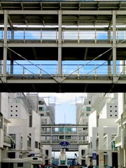 Auckland. City of New Zealand