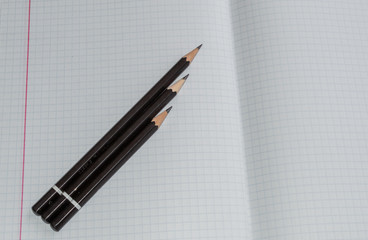 Pencils close up and composition notebook in a cage. Copy space layout, blank notebook in a cage.