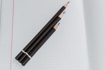 Pencils close up and composition notebook in a cage. Copy space layout, blank notebook in a cage.