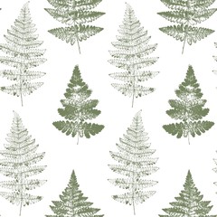 Obraz premium Ferns seamless pattern in vintage style. Various leaves of ferns. Vector botanical illustration.