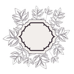 frame with plants and herbs isolated icon