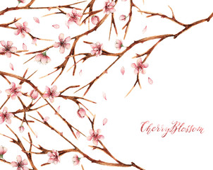 Watercolor illustration,Cherry blossom,spring, flowers,branches,card for you,handmade