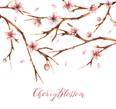 Watercolor illustration,Cherry blossom,spring flowers,branches, flowers,card for you,handmade