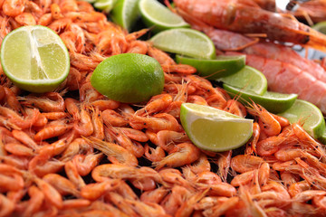 Shrimps.Cooked shrimps. .A lot of little shrimps with lime .Copy space