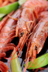 Shrimps.Raw fresh shrimps with lime .Big Shrimps.A lot of little shrimps.