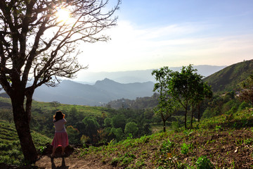 Asian female tourist enjoying from top of the mountain with valley view of Doi Pha Tang Chiang Rai.