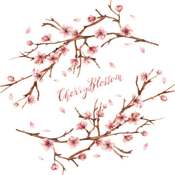 Cherry blossom,Watercolor illustration,spring,card for you,handmade, flowers, petals, twigs, buds
