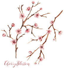 Cherry blossom,Watercolor spring illustration,card for you,handmade, petals, twigs, buds, flowers,different elements