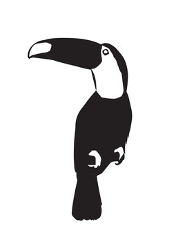 Tucan Silhouette