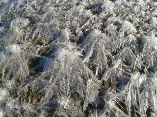 Snow
