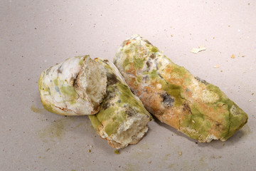 Mold on bread. Best before date has expired a long time ago with this moldy food. Space for text.