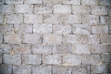 wall lined with concrete blocks