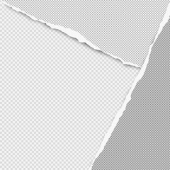 Torn squared grey paper in corners are on background with space for text. Vector illustration