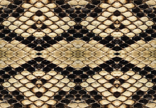 snake pattern concept