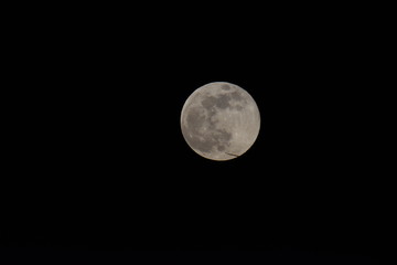 mond
