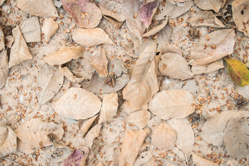 Natural background images created by humans