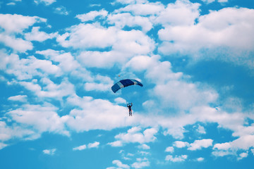 Parachutist falling from the sky in evening sunset dramatic sky. Recreational sport, Paratrooper silhouette on colored sky.