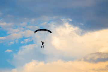 Parachutist falling from the sky in evening sunset dramatic sky. Recreational sport, Paratrooper silhouette on colored sky.