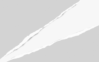 Squared ripped paper strips for text or message on white background