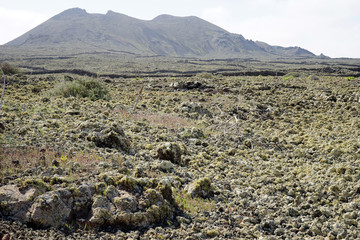 Fuerteventura island