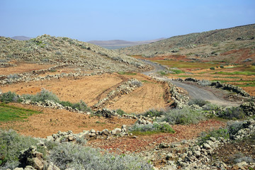 Road and stone walls