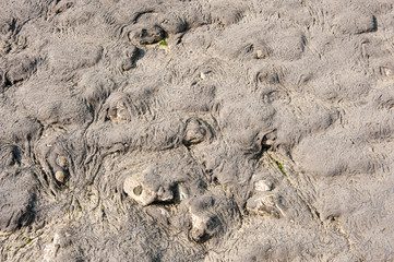 texture background 