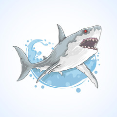 Shark Fish sea water detail eps vector