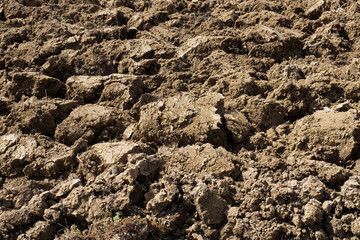 Plowed land in central Italy. Agricolture concept.