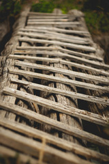 Old wooden ladder used as a footbridge. Portrait format.
