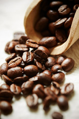 Roasted coffee beans