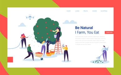 People Farmer Harvest Apple Concept Landing Page. Woman Character Harvesting Ripe Fruit to Basket. Man Control Farm with Drone Website or Web Page Flat. Cartoon Vector Illustration